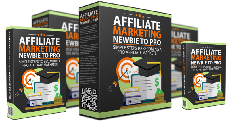 Affiliate Marketing Newbie To Pro